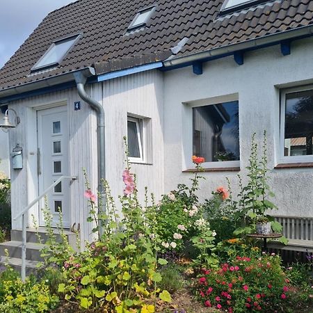 Haus Sonnenlicht. Idylle Am Ratzeburger See! Екстериор снимка
